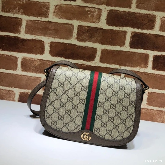GUCCI small Ophidia bag shoulder 0812